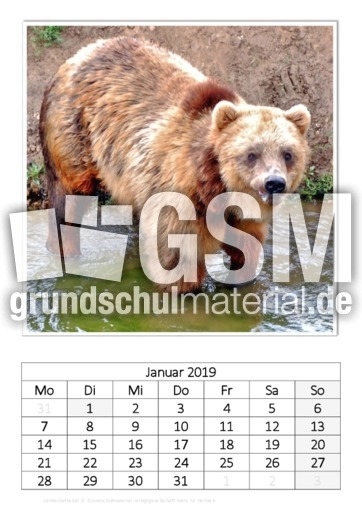 Januar_Kamtschatkabär_2.pdf